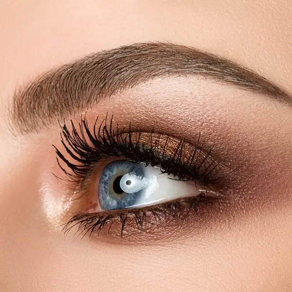 Restructuration des Sourcils